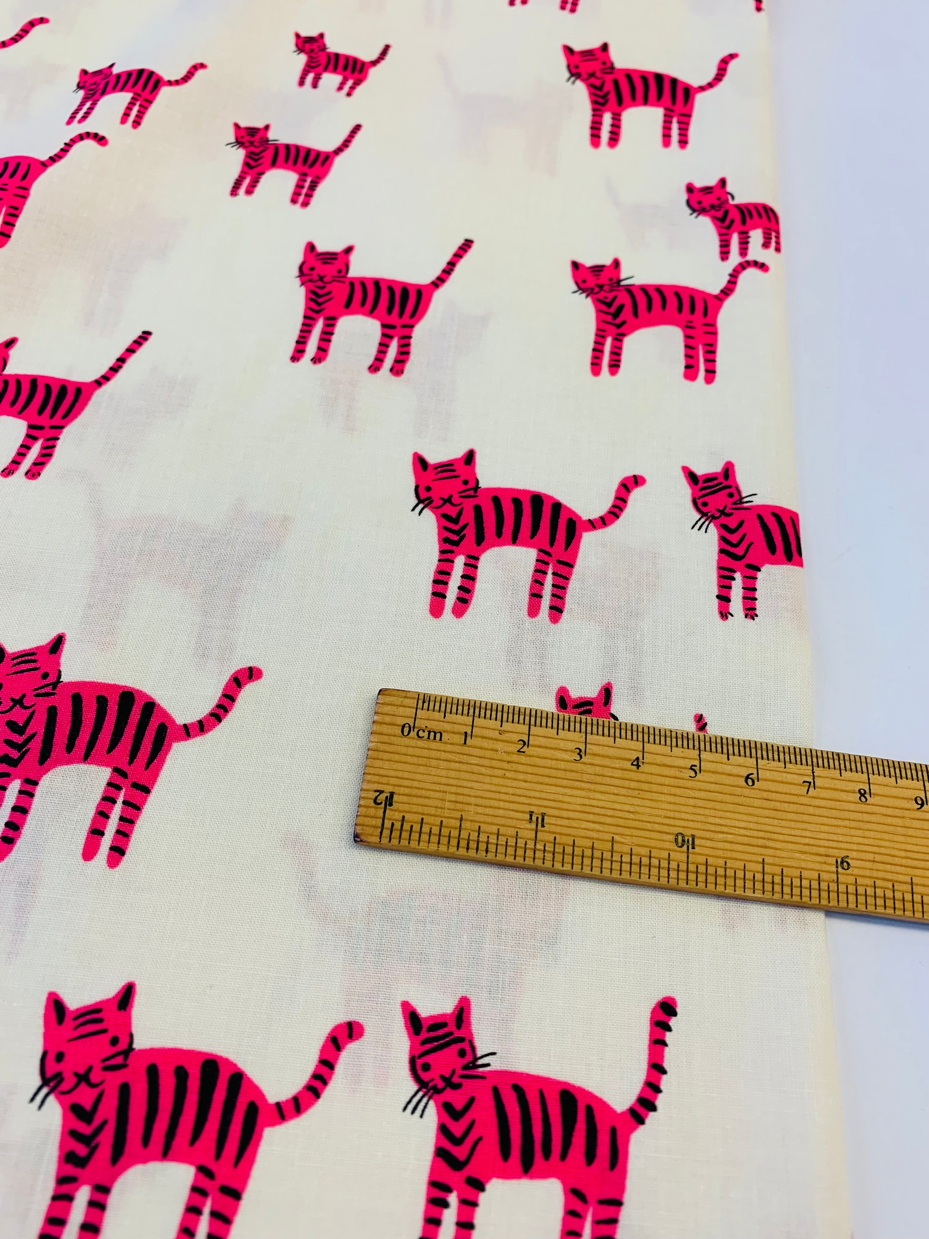 Catnap in Playful/ Ruby Star Society