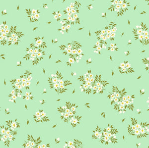 Tula Pink True Colours/ On The Grid Spearmint