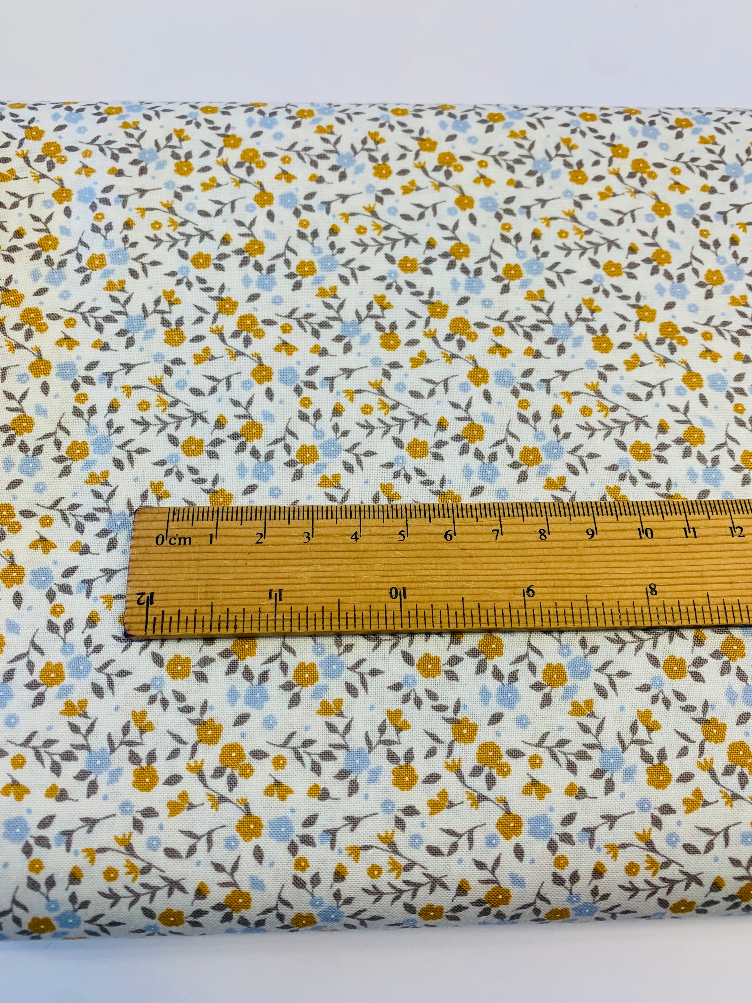 Sun Drenched/ Sweetfire Road in Cloud by Moda