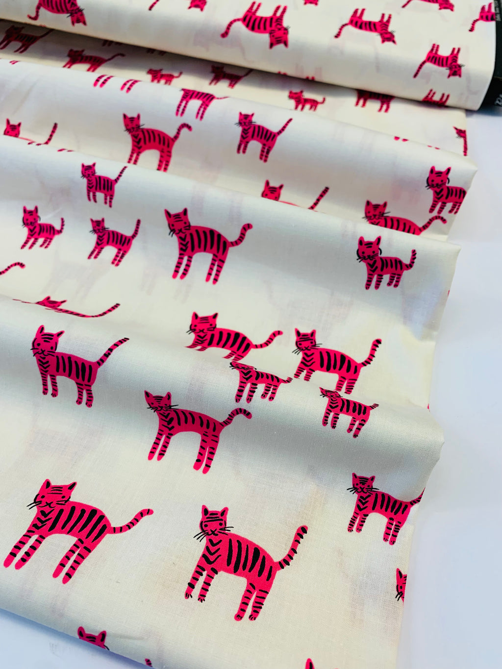 Catnap in Playful/ Ruby Star Society