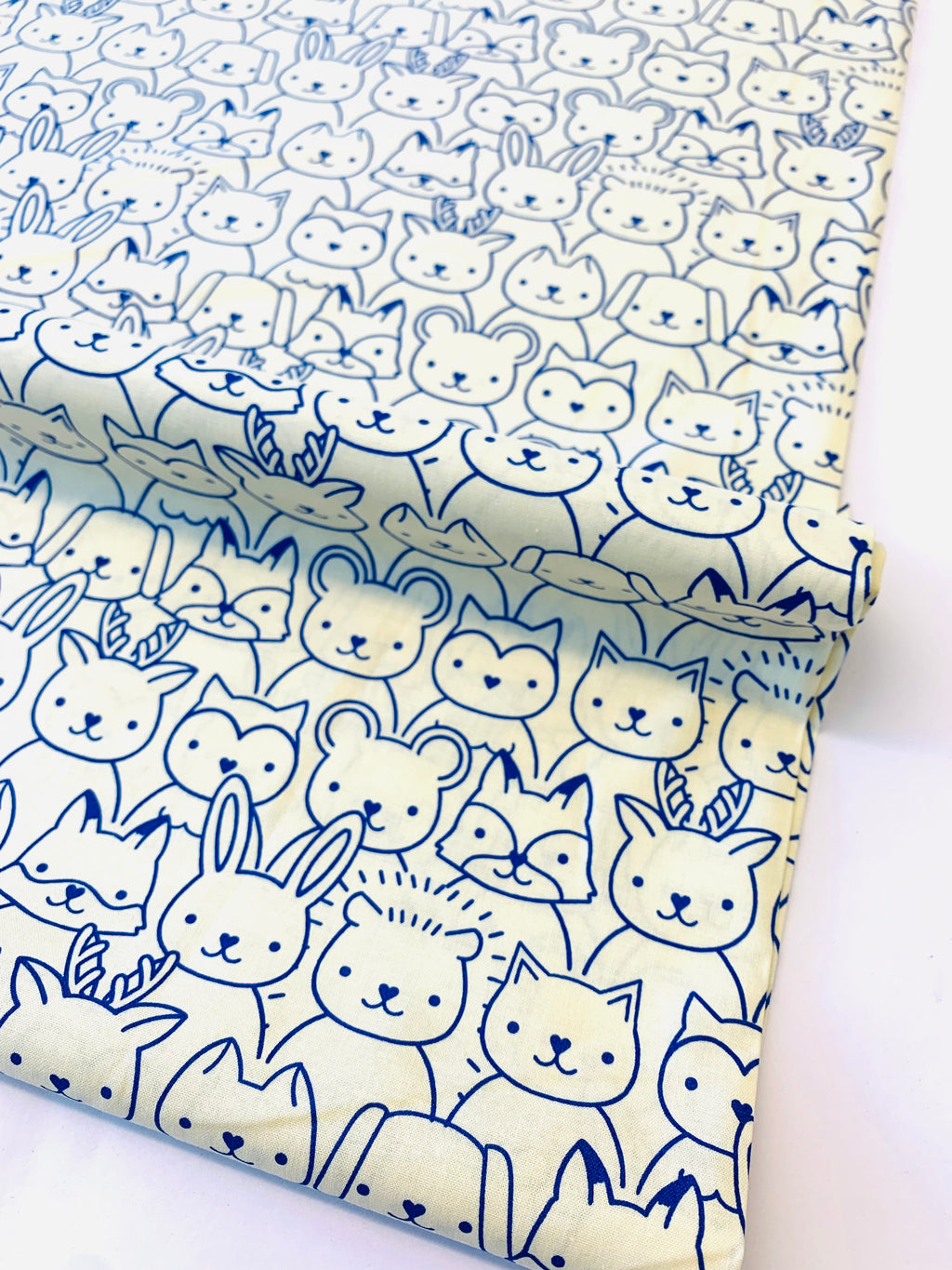 WOODLAND PARK/ Sup Animals in Blue Ribbon by Ruby Star Society
