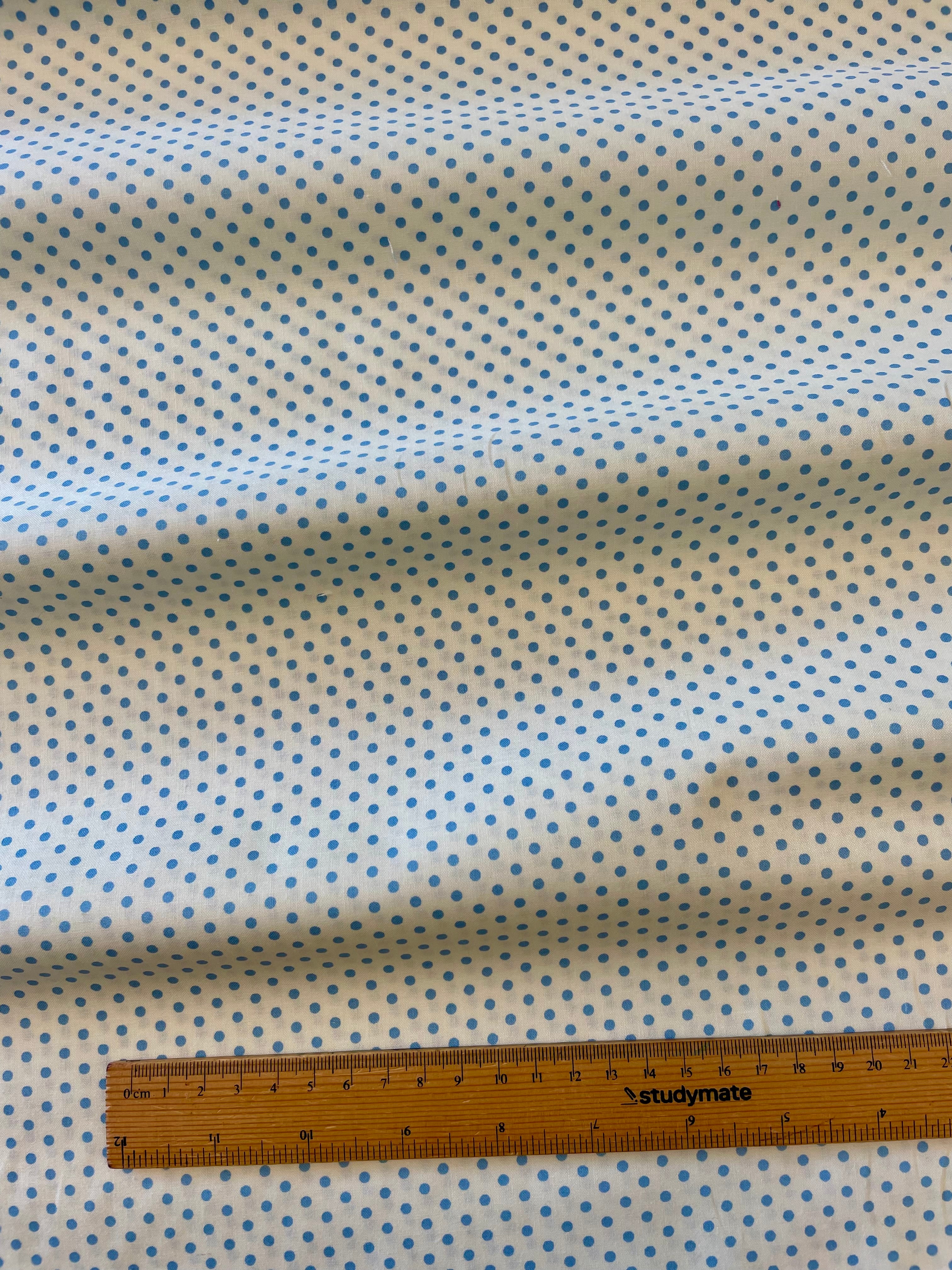 Happy Sweet Small Spot/ Blue