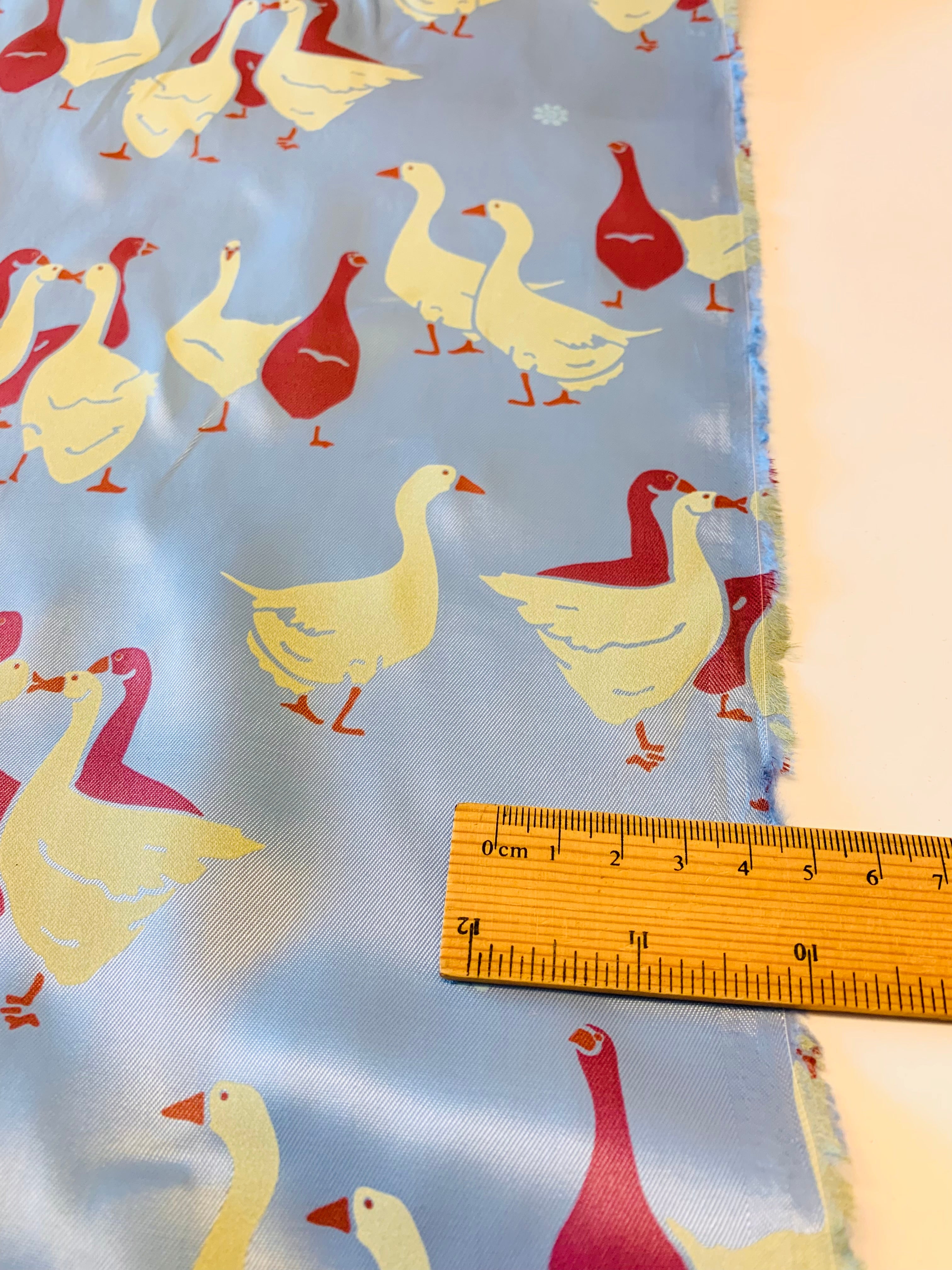 DUCK PARTY/ Rayon Bemberg Lining