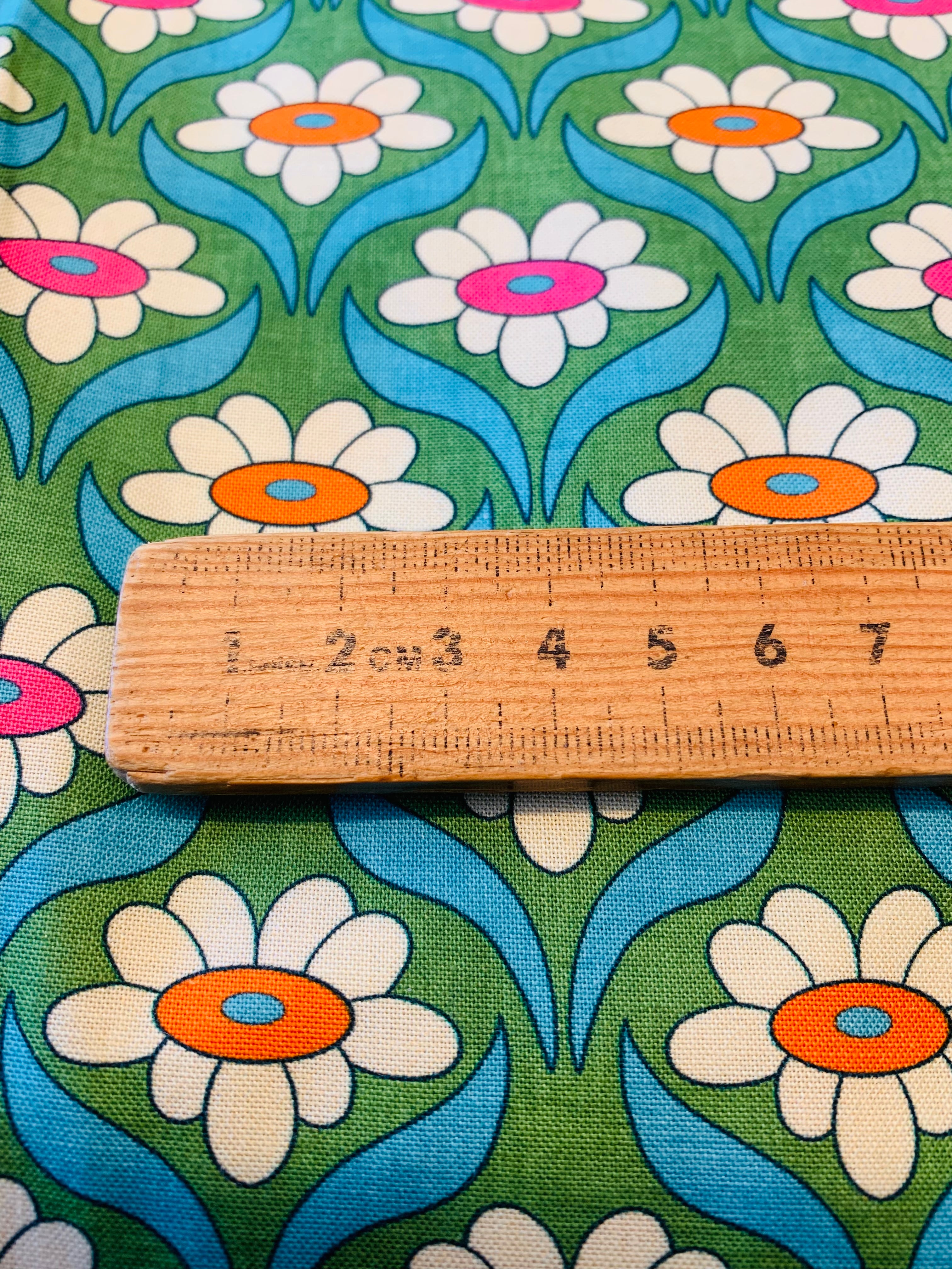 PETAL POWER/ PUSHING UP DAISIES