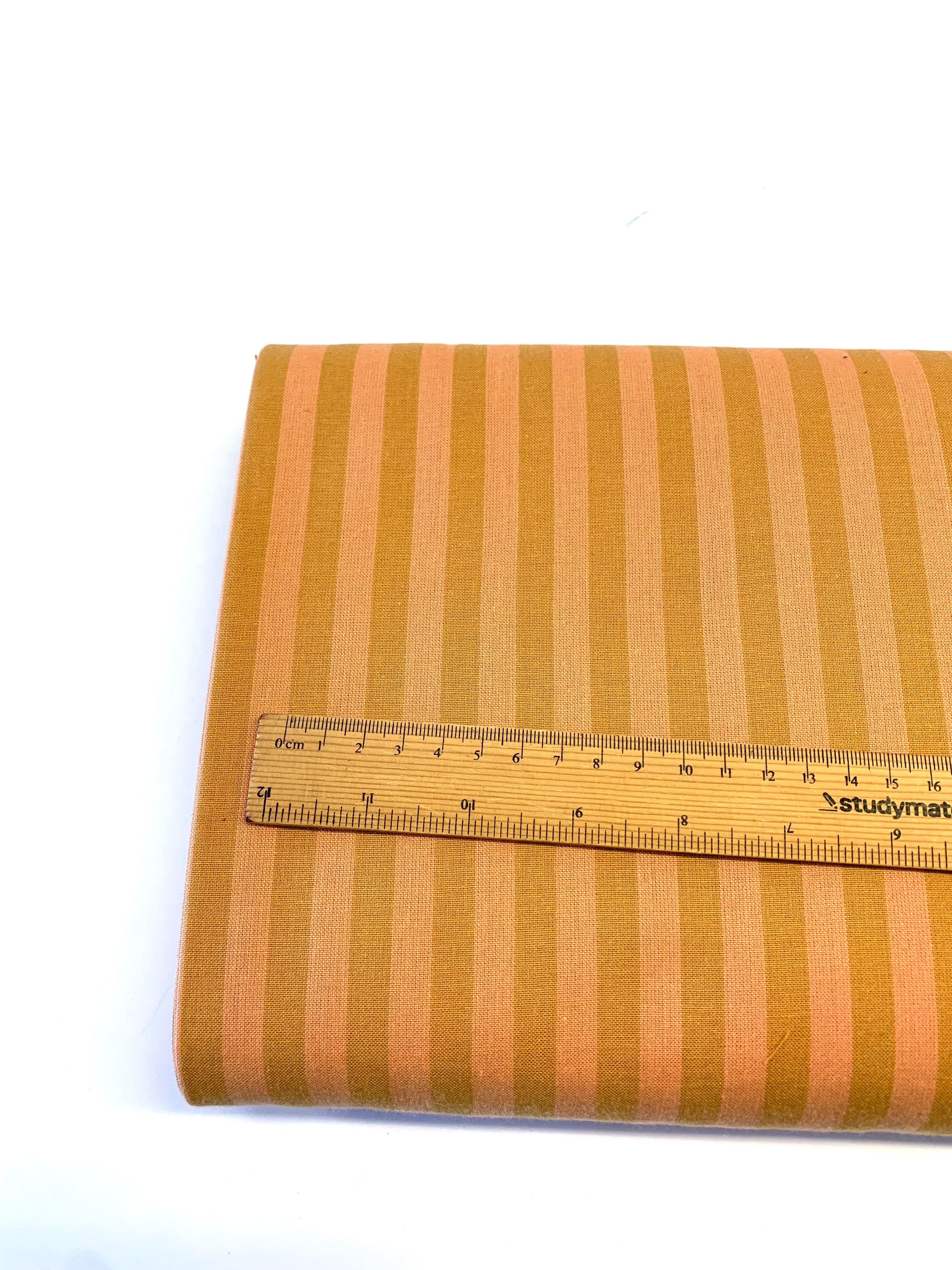 FABLEISM/ Sun Stripes In Desert Clay