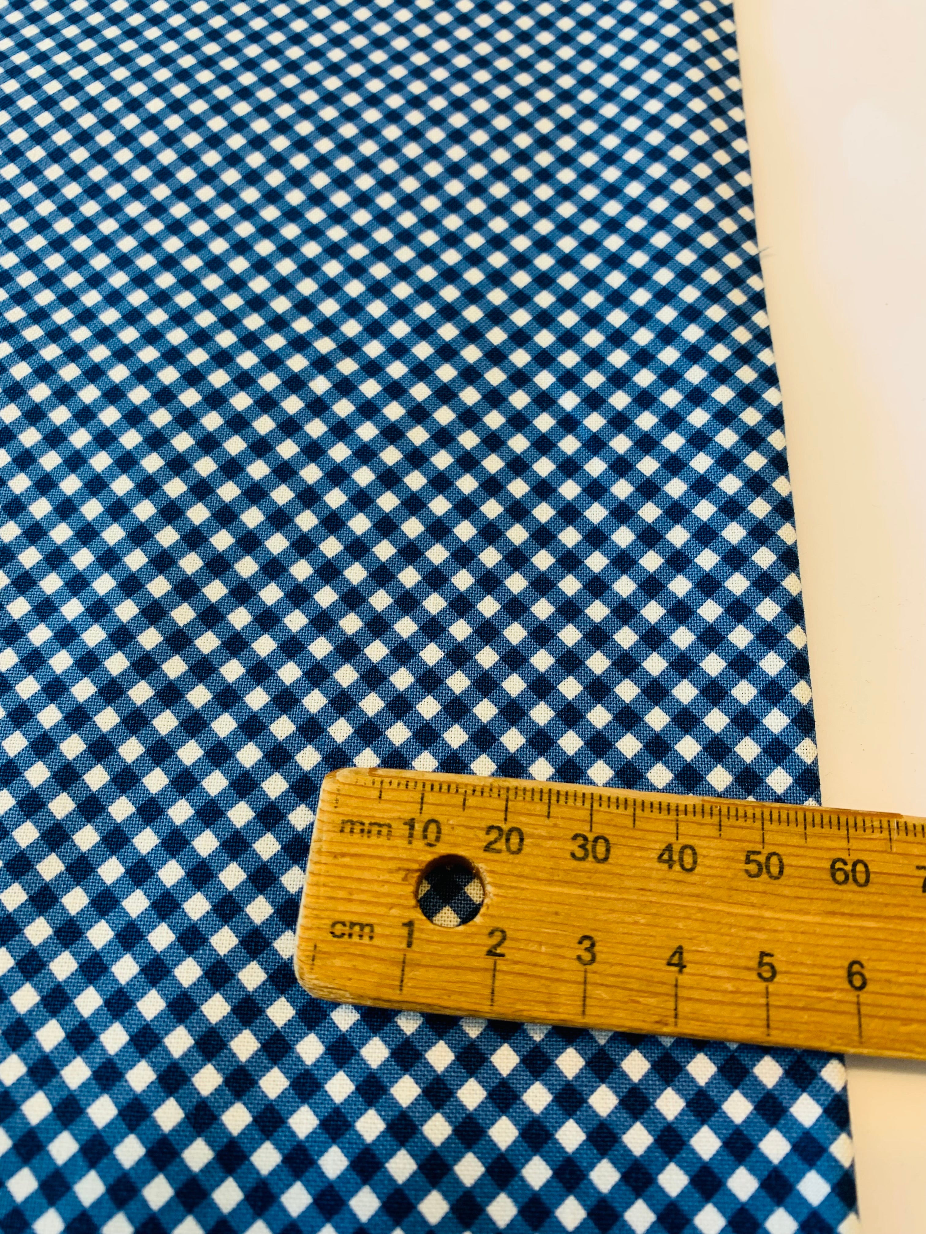 Raspberry Summer/ Blue Check by Moda