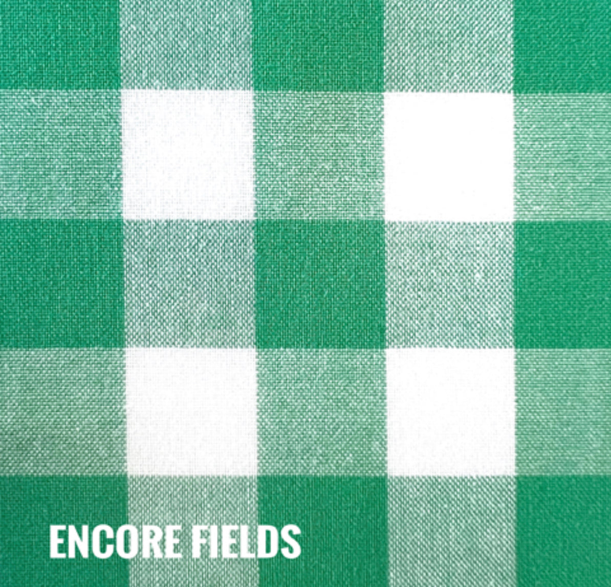 Fabric Journey & Co: Check/ Encore Fields