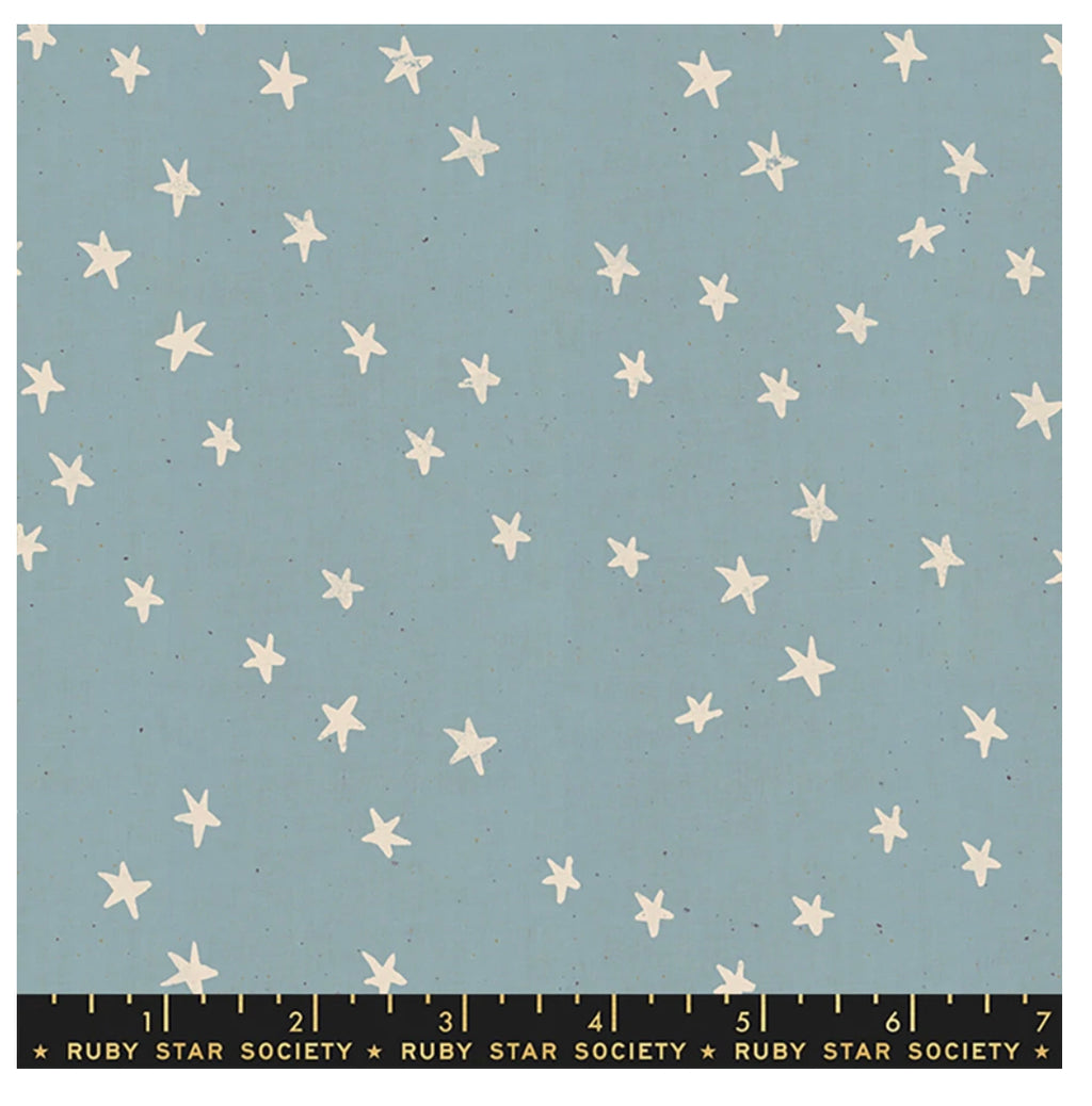 Ruby Star Society/ Starry Night Sky Soft Blue