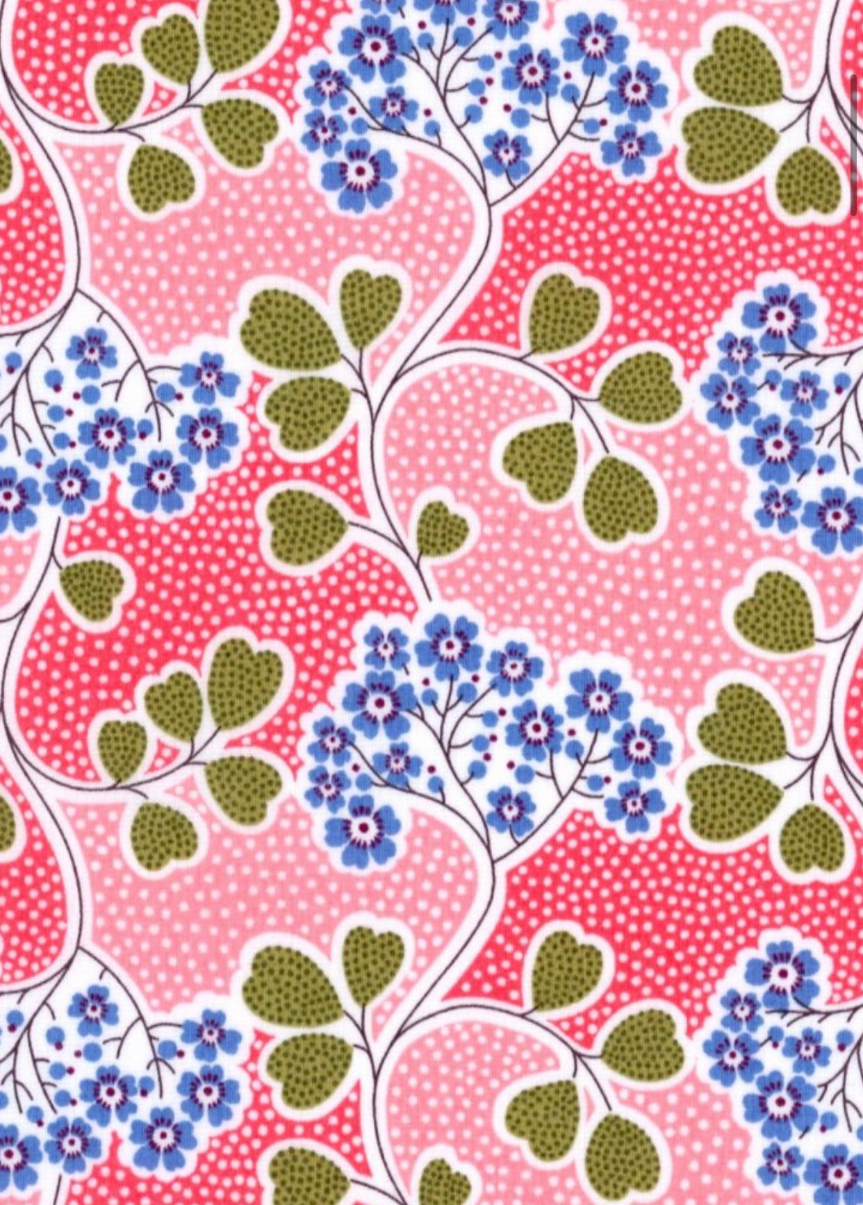 Liberty Fabrics: Wonderful Fantastical/ Primula Point C