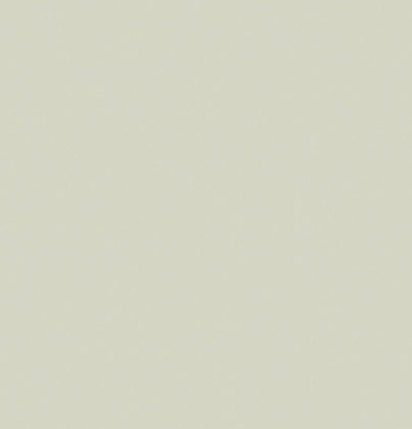 Art Gallery Fabrics: Pure Solids/ PE 419 Light Grey