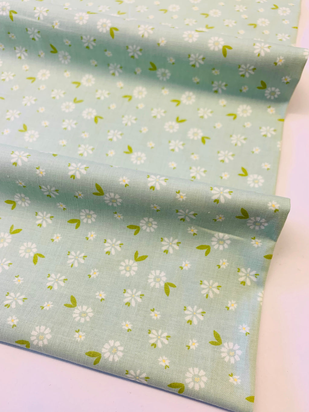 Moda/ Seashore Drive