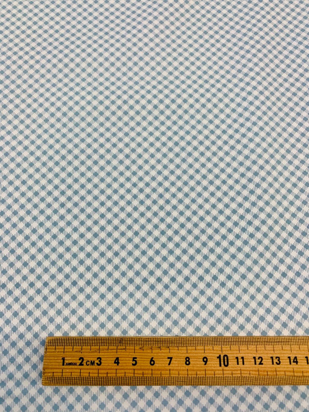 Art Gallery Fabrics: Les Petits gingham in ice blue