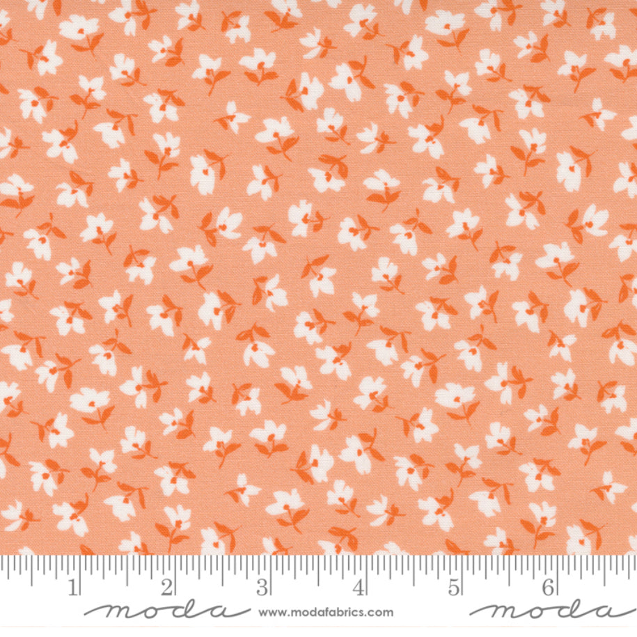 Moda: Paisley Rose/ Ditsy Floral in Peach