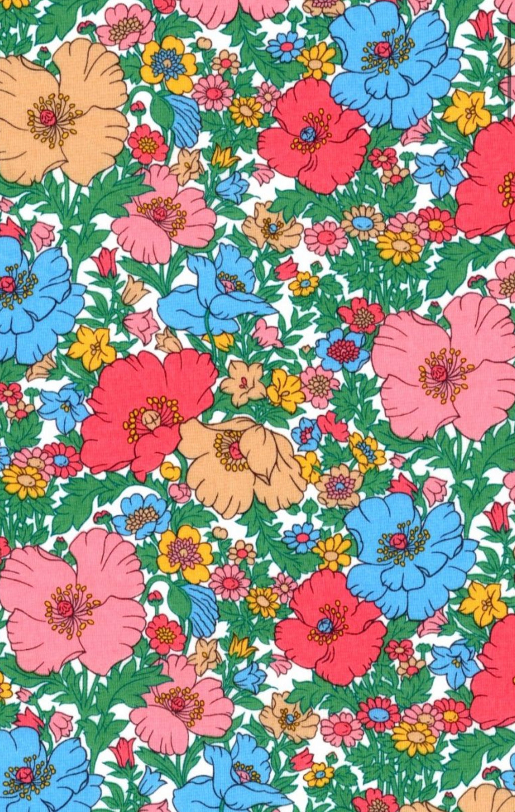 Liberty Fabrics: Wonderful Fantastical/ Meadow Song C