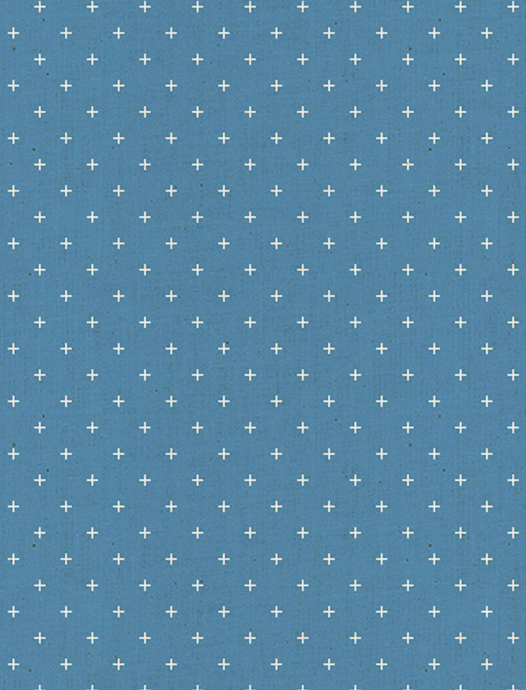 Ruby Star Society Add It Up/ Chambray