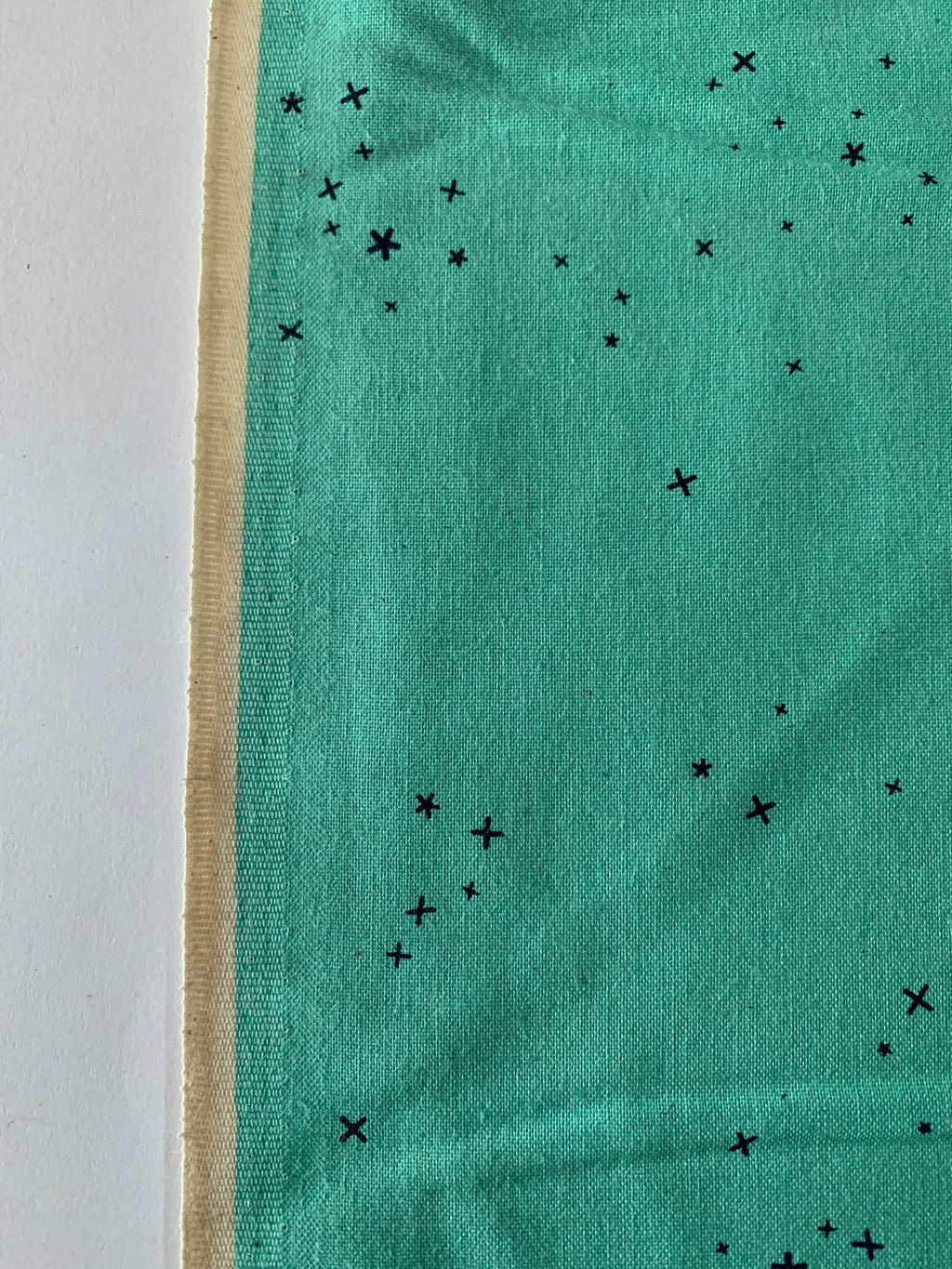 Freckles in Mint Chip by Cotton and Steel