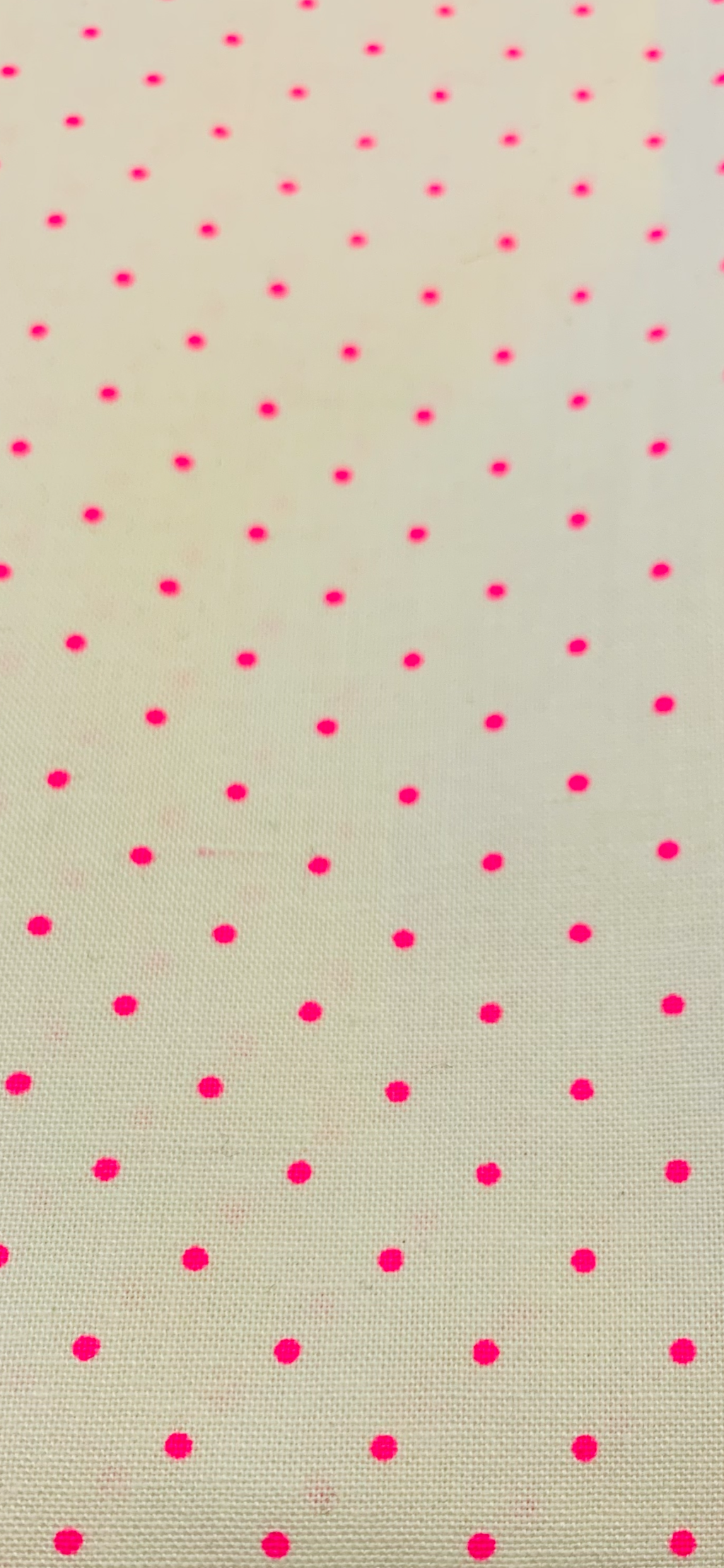 Tula Pink/ Tiny Dots in Cosmic