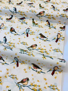 AGF Gloria/ The Dawn Chorus